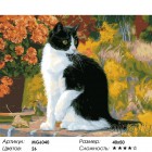 Сложность и количество цветов Кот Феликс Раскраска картина по номерам акриловыми красками на холсте Menglei MG6040