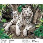 Сложность и количество цветов Белые тигры Раскраска картина по номерам акриловыми красками на холсте Menglei MG6046