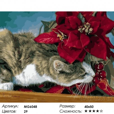 Сложность и количество цветов Кот исследователь Раскраска картина по номерам акриловыми красками на холсте Menglei MG6048