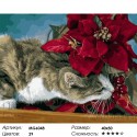 Кот исследователь Раскраска картина по номерам на холсте Menglei