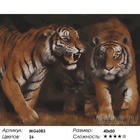 Сложность и количество цветов Дружба тигров Раскраска картина по номерам акриловыми красками на холсте Menglei MG6083