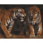 Дружба тигров Раскраска картина по номерам акриловыми красками на холсте Menglei MG6083