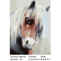 Лошадка Раскраска картина по номерам на холсте Белоснежка