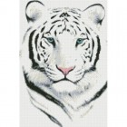 Белый тигр Алмазная мозаика вышивка Паутинка