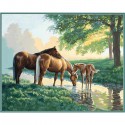 Лошади у ручья Раскраска картина по номерам Dimensions