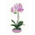 Сиреневая орхидея Набор для вышивания Риолис
