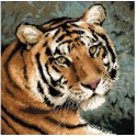 Амурский тигр Набор для вышивания Риолис