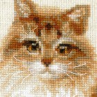 Кошка домашняя Набор для вышивания Риолис