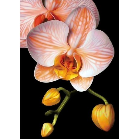 Изящная орхидея Алмазная вышивка мозаика Гранни