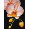 Изящная орхидея Алмазная вышивка мозаика Гранни