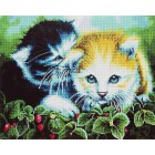Два котеночка Дженни Ньюлэнд Алмазная мозаика вышивка Painting Diamond