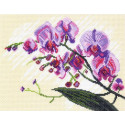 Орхидеи Канва с рисунком для вышивки Матренин посад