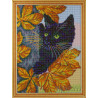 Черный кот Алмазная мозаика на подрамнике Цветной