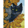 Черный кот Алмазная мозаика на подрамнике Цветной
