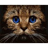Котёнок Раскраска картина по номерам акриловыми красками на холсте
