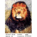 Царь зверей Раскраска ( картина ) по номерам на холсте Белоснежка
