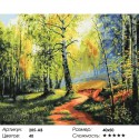 Количество цветов и сложность Березовая роща Раскраска картина по номерам акриловыми красками на холсте Белоснежка
