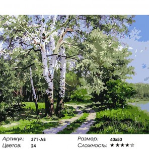 Белая береза Раскраска ( картина ) по номерам акриловыми красками на холсте Белоснежка