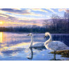 Лебеди Раскраска картина по номерам акриловыми красками Color Kit
