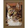 Готовая картина Домашний кот Алмазная вышивка мозаика Гранни