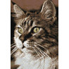 Раскладка Домашний кот Алмазная вышивка мозаика Гранни