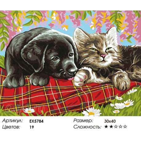 Количество цветов и сложность Щенок и котенок Раскраска картина по номерам акриловыми красками на холсте