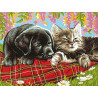 Щенок и котенок Раскраска картина по номерам акриловыми красками на холсте