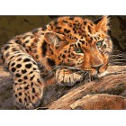 Задумчивый леопард Раскраска картина по номерам акриловыми красками на холсте 