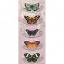 Бабочки Брелочки для скрапбукинга, кардмейкинга K&Company