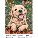 Игривый щенок Раскраска картина по номерам на холсте