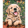 Игривый щенок Раскраска картина по номерам акриловыми красками на холсте