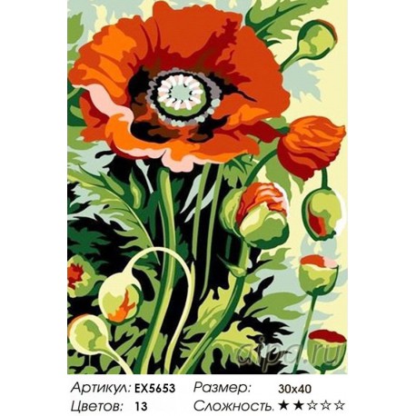 Количество цветов и сложность Бутоны мака Раскраска картина по номерам акриловыми красками на холсте