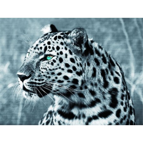 Леопард с изумрудными глазами Алмазная мозаика на подрамнике
