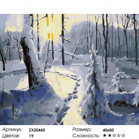 Количество цветов и сложность Зимний лес Раскраска картина по номерам акриловыми красками на холсте