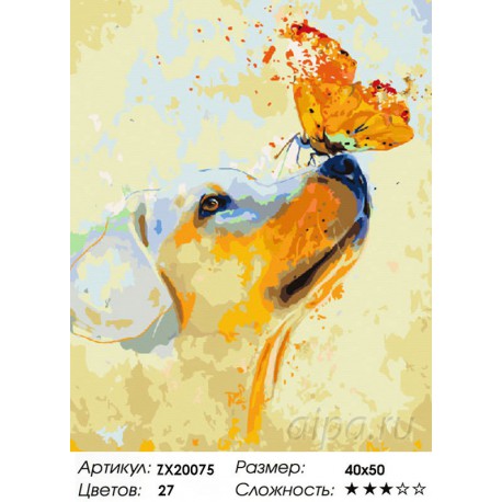 Количество цветов и сложность Золотистый ретривер Раскраска картина по номерам акриловыми красками на холсте