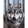 Волк Раскраска картина по номерам на холсте Белоснежка