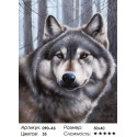 Количество цветов и сложность Волк Раскраска картина по номерам на холсте Белоснежка