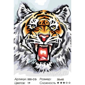 Тигр Раскраска ( картина ) по номерам акриловыми красками на холсте Белоснежка