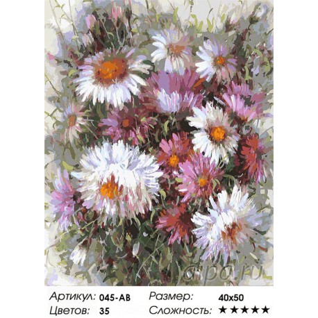 Количество цветов и сложность Астрочки Раскраска ( картина ) по номерам на холсте Белоснежка