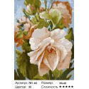 Количество цветов и сложность Роза Раскраска картина по номерам на холсте Белоснежка