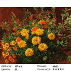 Количество цветов и сложность Нарядные бархатцы Раскраска картина по номерам на холсте Белоснежка