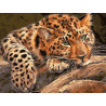 Мечтательный леопард Раскраска картина по номерам на холсте
