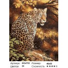 Количество цветов и сложность Прекрасный Леопард Раскраска по номерам на холсте Menglei