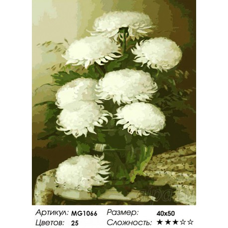 Количество цветов и сложность Белые хризантемы Раскраска картина по номерам на холсте Menglei