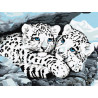 Детеныши снежного барса Раскраска картина по номерам на холсте Menglei