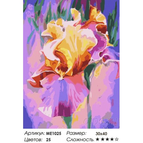 Количество цветов и сложность Ирис в лучах заката Раскраска картина по номерам на холсте Menglei
