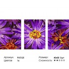 Количество цветов и сложность Фиолетовые ромашки Триптих Раскраска картина по номерам на холсте