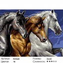 Лошади Раскраска картина по номерам на холсте