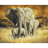 Слоны в саванне Раскраска картина по номерам на холсте