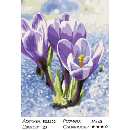 Количество цветов и сложность Весенние крокусы Раскраска картина по номерам на холсте